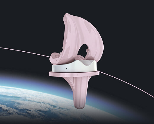 BPK-S ceramic knee made of BIOLOX®delta, from Peter Brehm