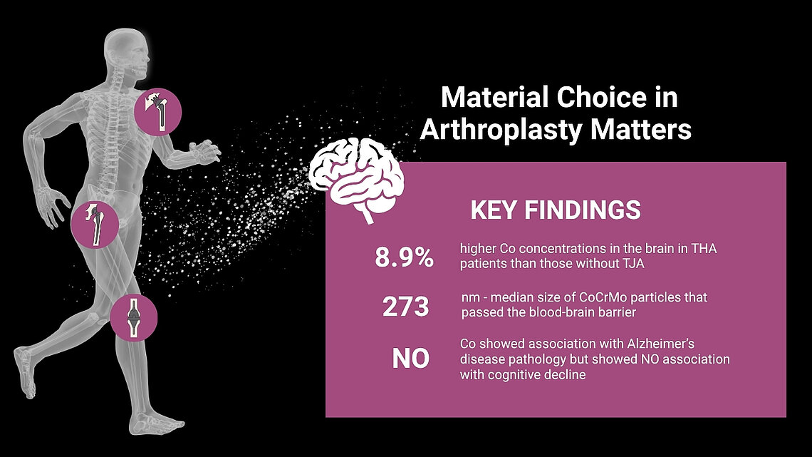 Infographic: 8.9% higher cobalt brain levels in THA patients; 273 nm CoCrMo particles crossed blood-brain barrier; no link to cognitive decline.