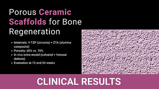 Microscopic view of porous ceramic scaffold with study parameters: Y-TZP, ZTA, 60–70% porosity, ovine model, 12–24 weeks.