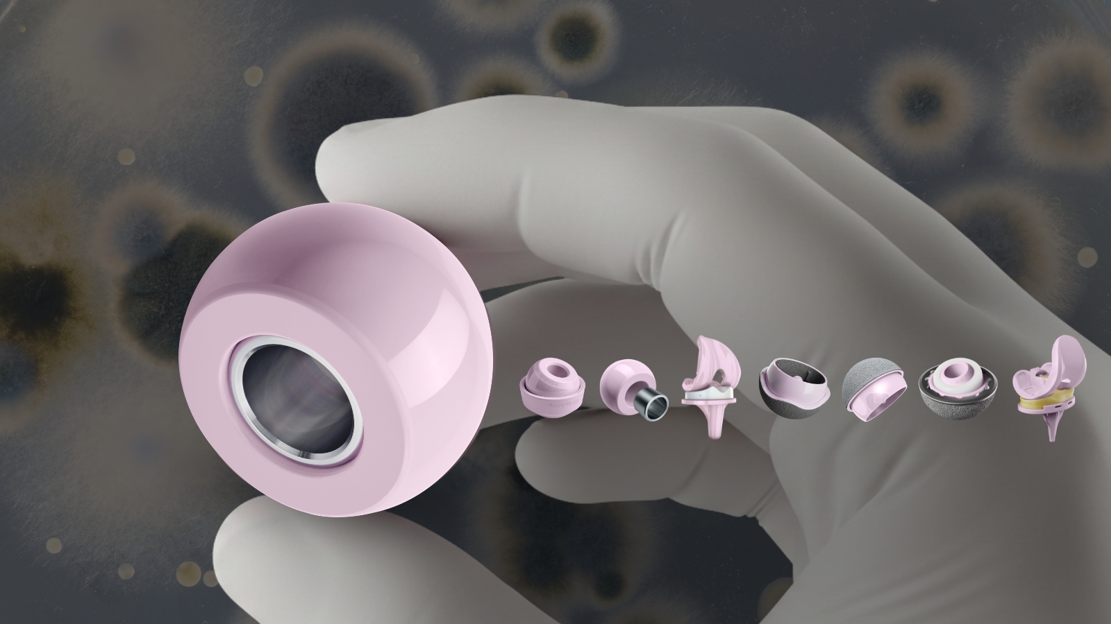 Gloved hand holding a BIOLOX® ceramic femoral head alongside a row of ceramic orthopedic implant components