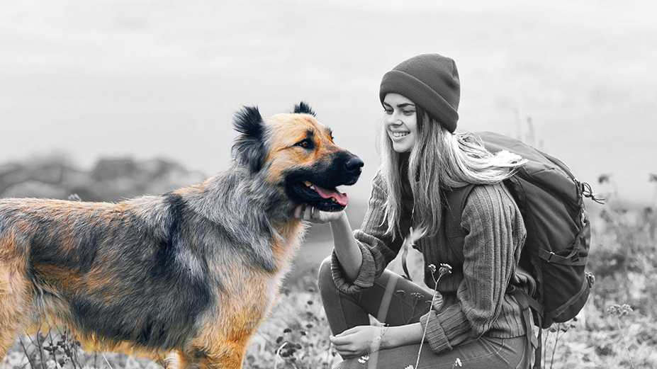 Eine Frau in Wanderkleidung kniet auf einer Wiese und streichelt ihren Deutschen Schäferhund. Der graustufige Hintergrund hebt das lebendige Fell des Hundes hervor und symbolisiert Stärke und Loyalität